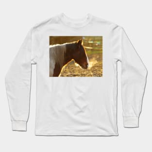 sunset horse Long Sleeve T-Shirt